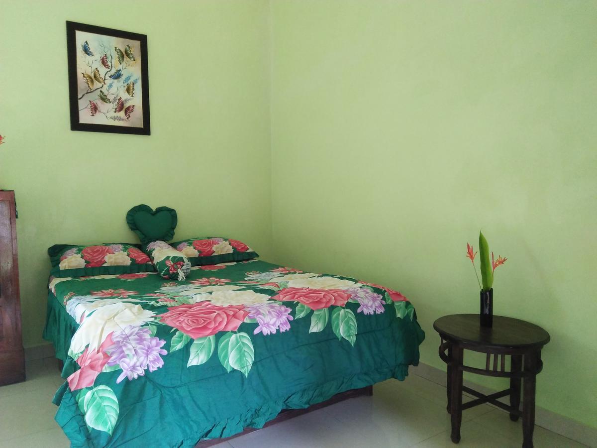 Memes House Backpacker Bed & Breakfast Buleleng  Bagian luar foto